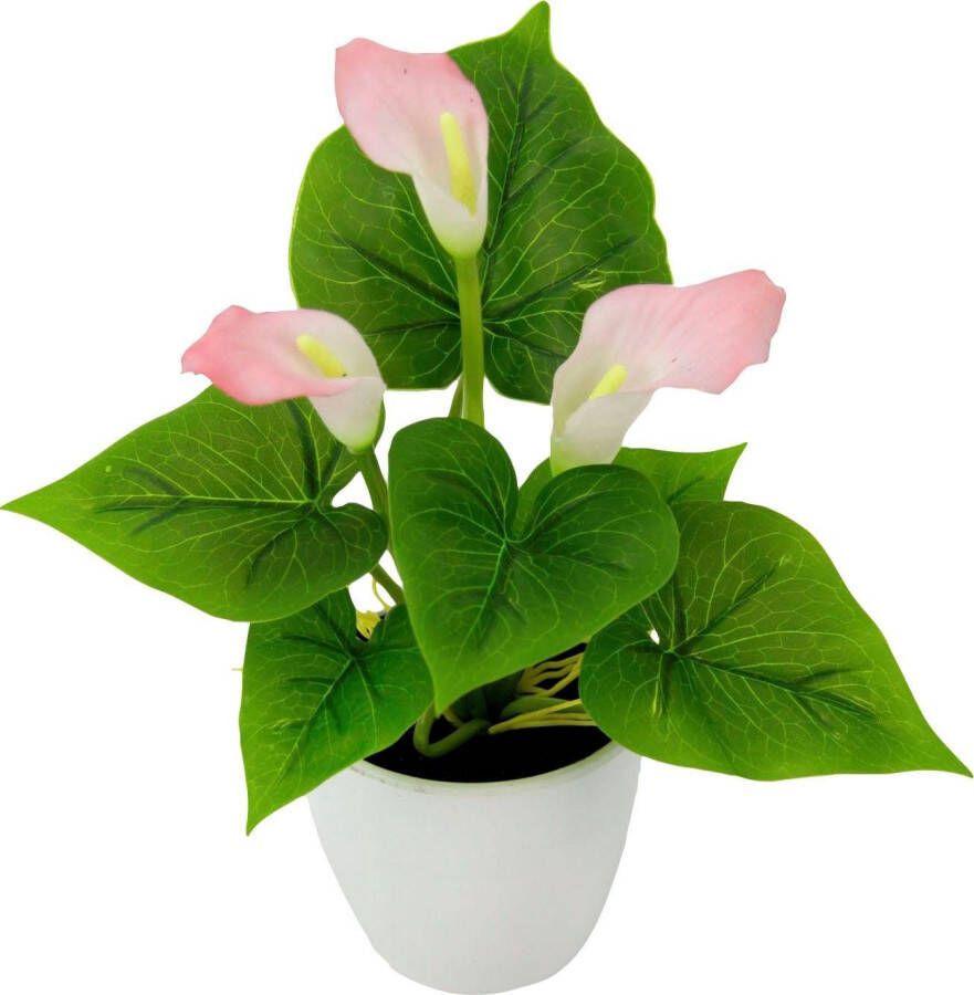 I.GE.A. Kunstplant Mini calla (set 3 stuks)