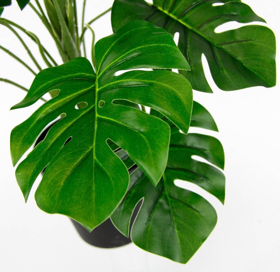 I.GE.A. Kunstplant Monstera