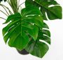 I.GE.A. Kunstplant Monstera - Thumbnail 2