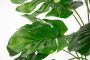 I.GE.A. Kunstplant Monstera - Thumbnail 3