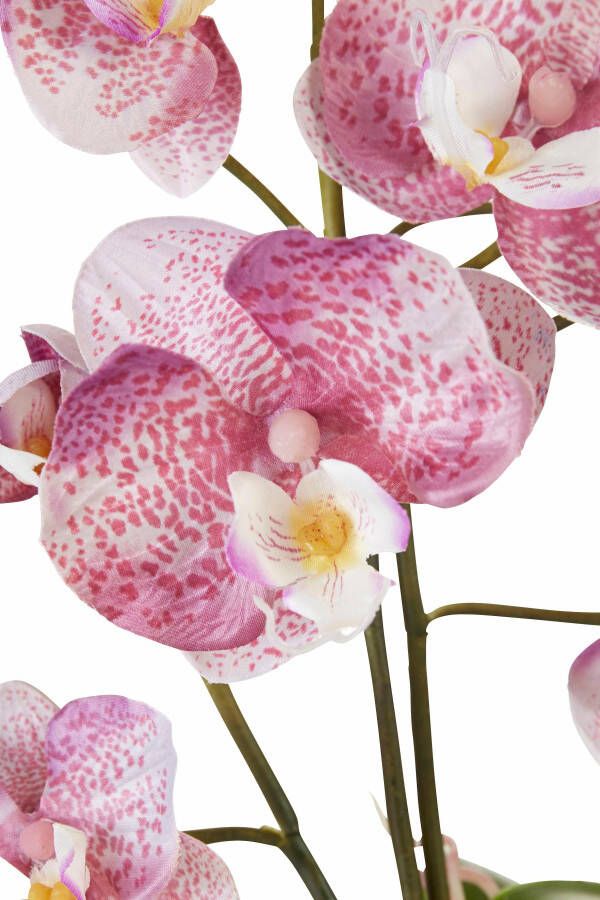 I.GE.A. Kunstplant Orchidee (set 2 stuks)