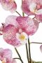 I.GE.A. Kunstplant Orchidee (set 2 stuks) - Thumbnail 3