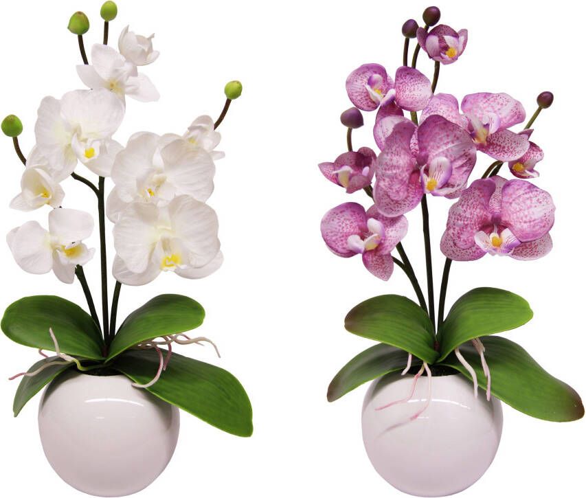 I.GE.A. Kunstplant Orchidee (set 2 stuks)