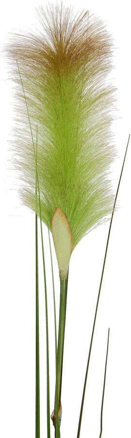 I.GE.A. Kunstplant PAMPAS (2 stuks)