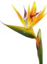 I.GE.A. Kunstplant Paradijsvogelplant in pot van waterhyacint (1 stuk) - Thumbnail 6