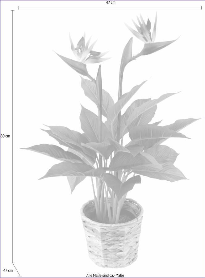 I.GE.A. Kunstplant Paradijsvogelplant in pot van waterhyacint (1 stuk)