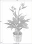 I.GE.A. Kunstplant Paradijsvogelplant in pot van waterhyacint (1 stuk) - Thumbnail 9