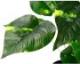 I.GE.A. Kunstplant Pothos plant in waterhyacint pot (1 stuk) - Thumbnail 2