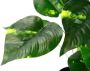 I.GE.A. Kunstplant Pothos plant in waterhyacint pot (1 stuk) - Thumbnail 2