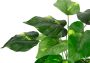 I.GE.A. Kunstplant Pothos plant in waterhyacint pot (1 stuk) - Thumbnail 3