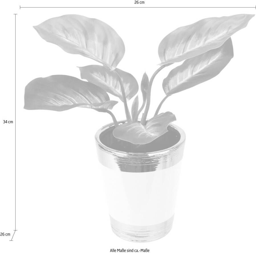 I.GE.A. Kunstplant Pothosplant in pot (set 2 stuks)