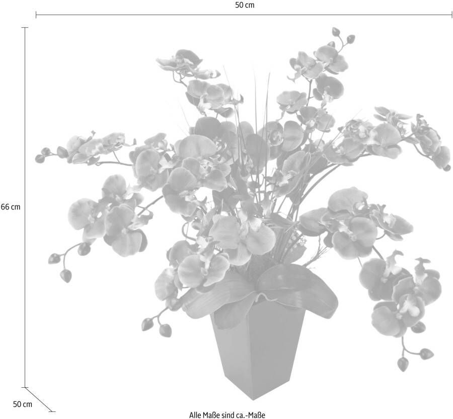 I.GE.A. Kunstplant Vlinderorchidee in pot