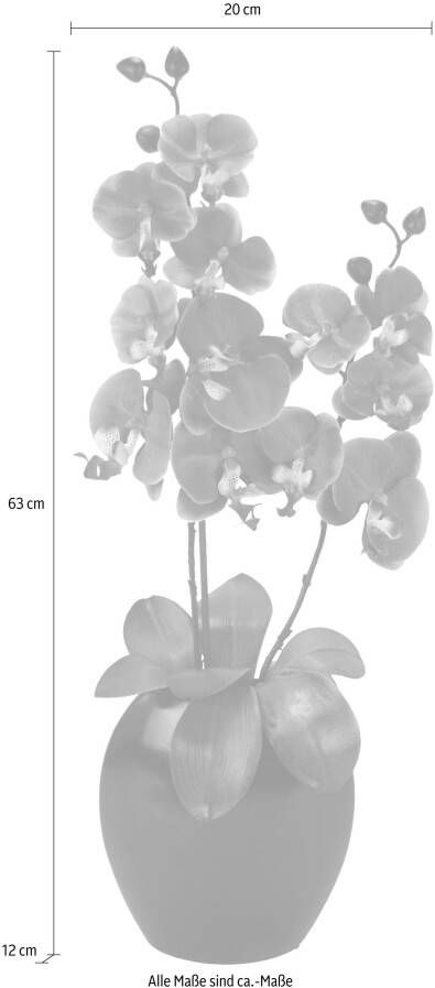 I.GE.A. Kunstplant Vlinderorchidee in vaas