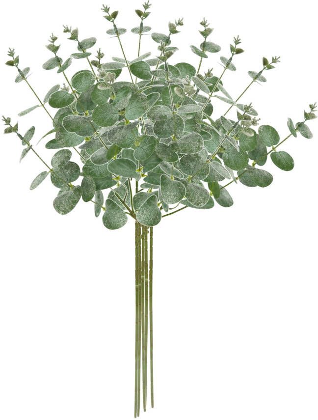 I.GE.A. Kunsttak Kunstmatige eucalyptus tak set van 5 decoratieve tak voor slinger krans kerstdecoratie enkele bloem (5 stuks)