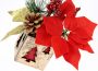 I.GE.A. Winterse kunstplant Gesteck mit Poinsettia im Topf Weihnachtsstern Weihnachtsdeko(1 stuk) - Thumbnail 3