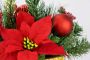 I.GE.A. Winterse kunstplant Arrangement poinsettia in beker kerstster kerstdecoratie - Thumbnail 2