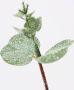 I.GE.A. Winterse kunstplant Kunstzweig Eukalyptuszweig Weihnachtsdeko(set 2 stuks) - Thumbnail 2