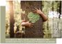INOSIGN Wandpaneel Silencio 40x120 cm (2-delig) - Thumbnail 7