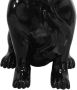 Kayoom Sculptuur Beeld Bulldog 125 - Thumbnail 4