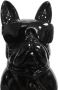 Kayoom Sculptuur Beeld Bulldog 125 - Thumbnail 6