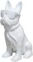 Kayoom Sculptuur Beeld Bulldog 125 - Thumbnail 2
