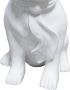 Kayoom Sculptuur Beeld Bulldog 125 - Thumbnail 6
