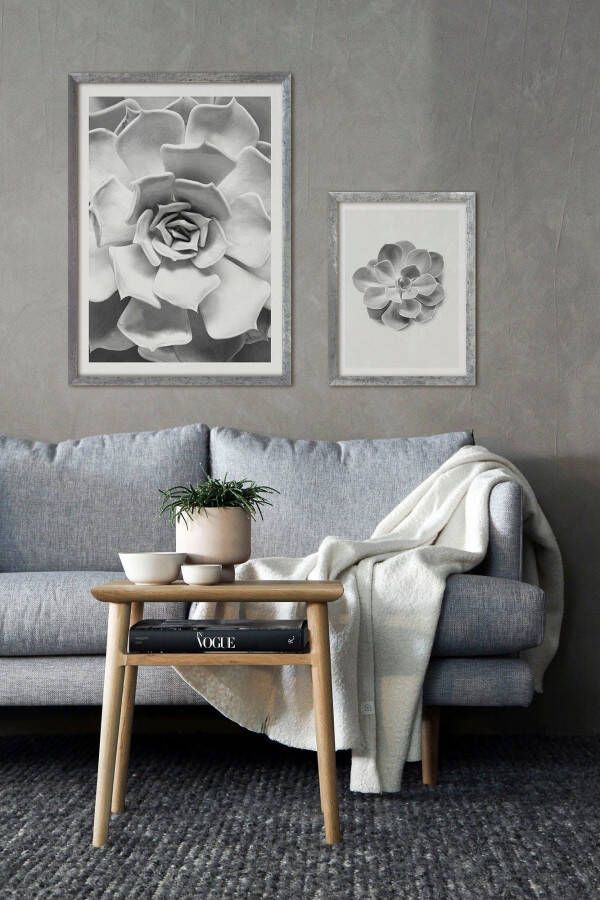 Komar Artprint met lijst Succulent Aeonium