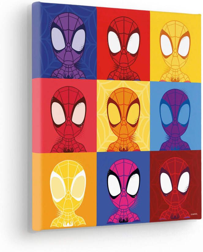 Komar Artprint op linnen Canvas schilderij Spidey Symmetry Afmeting 30 x 30 cm (1 stuk)