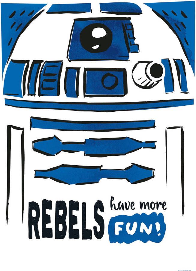 Komar Artprint op linnen Canvas schilderij Star Wars R2D2 More Fun Afmeting 40 x 60 cm (1 stuk)