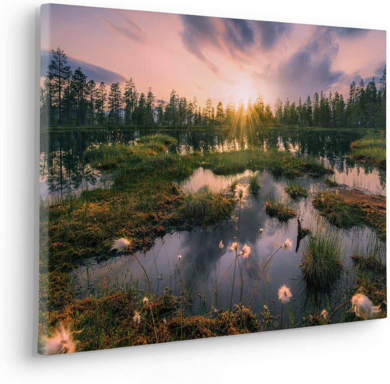 Komar Artprint op linnen Canvas schilderij Gloomy Swamps Afmeting 60 x 40 cm (1 stuk)