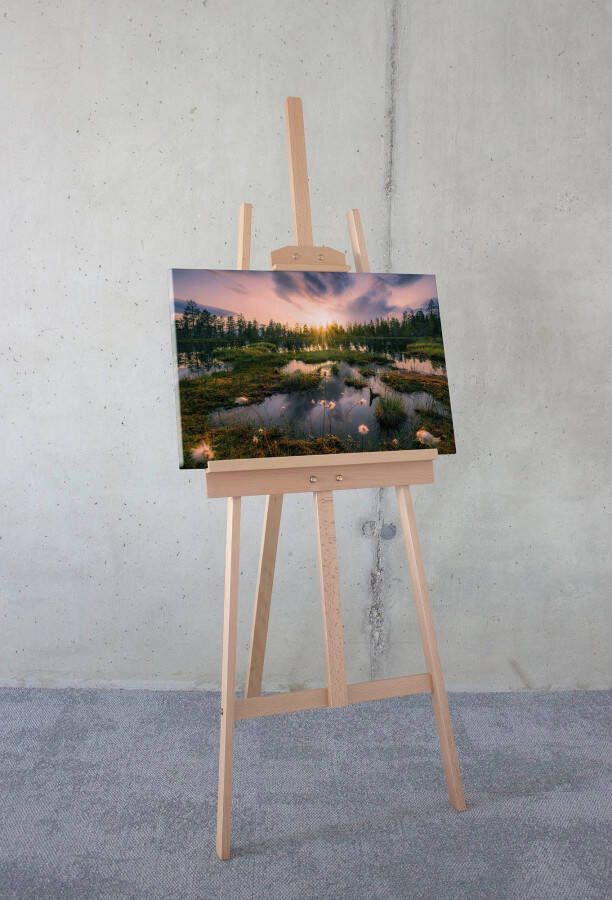 Komar Artprint op linnen Canvas schilderij Gloomy Swamps Afmeting 60 x 40 cm (1 stuk)