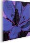 Komar Artprint op linnen Purple Fusion 60x60 cm (breedte x hoogte) artprint op spieraam (1 stuk) - Thumbnail 2