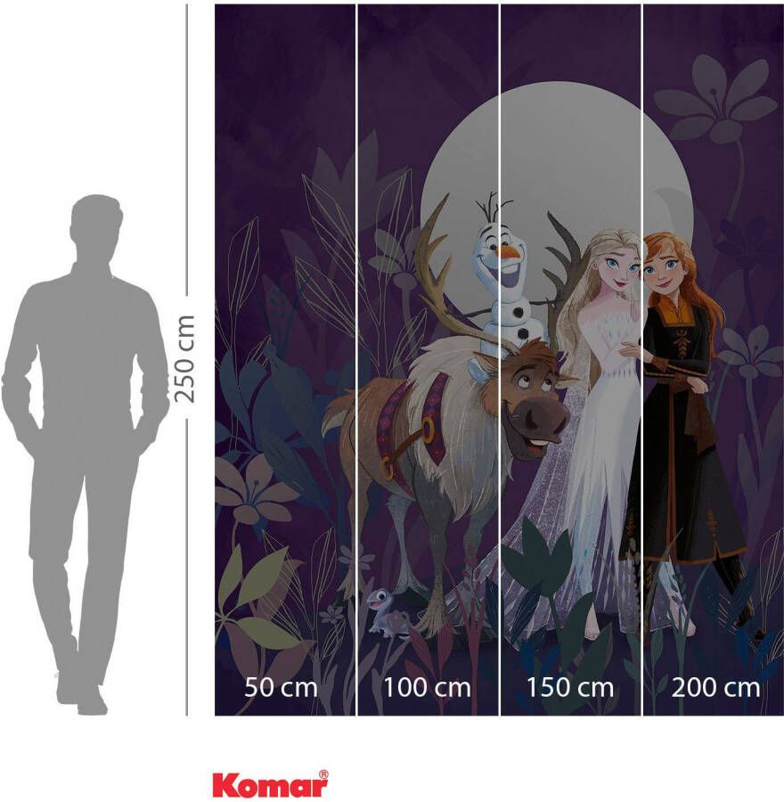 Komar Fotobehang Vlies fotobehang Frozen Full Moon Hike grootte 200 x 250 cm (1 stuk)