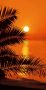 Komar Fotobehang Sunset grootte 97 x 220 cm (1 stuk) - Thumbnail 2