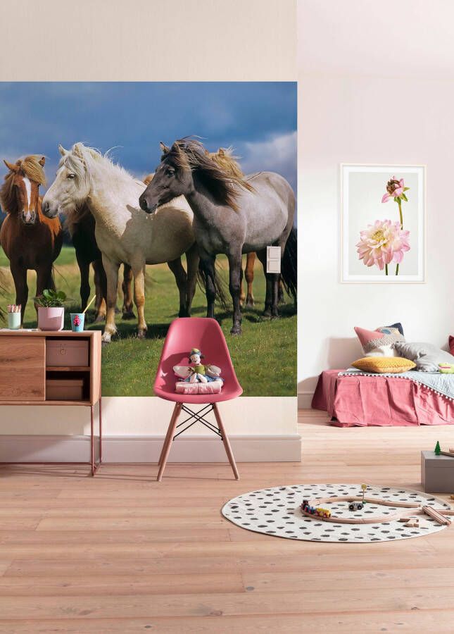 Komar Fotobehang Ponies grootte 254 x 184 cm (1 stuk)