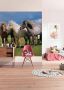 Komar Fotobehang Ponies grootte 254 x 184 cm (1 stuk) - Thumbnail 4