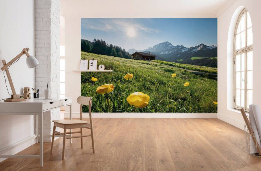 Komar Vliesbehang Alpenglück 400x280 cm (breedte x hoogte) woonkamer slaapkamer (8 stuks)