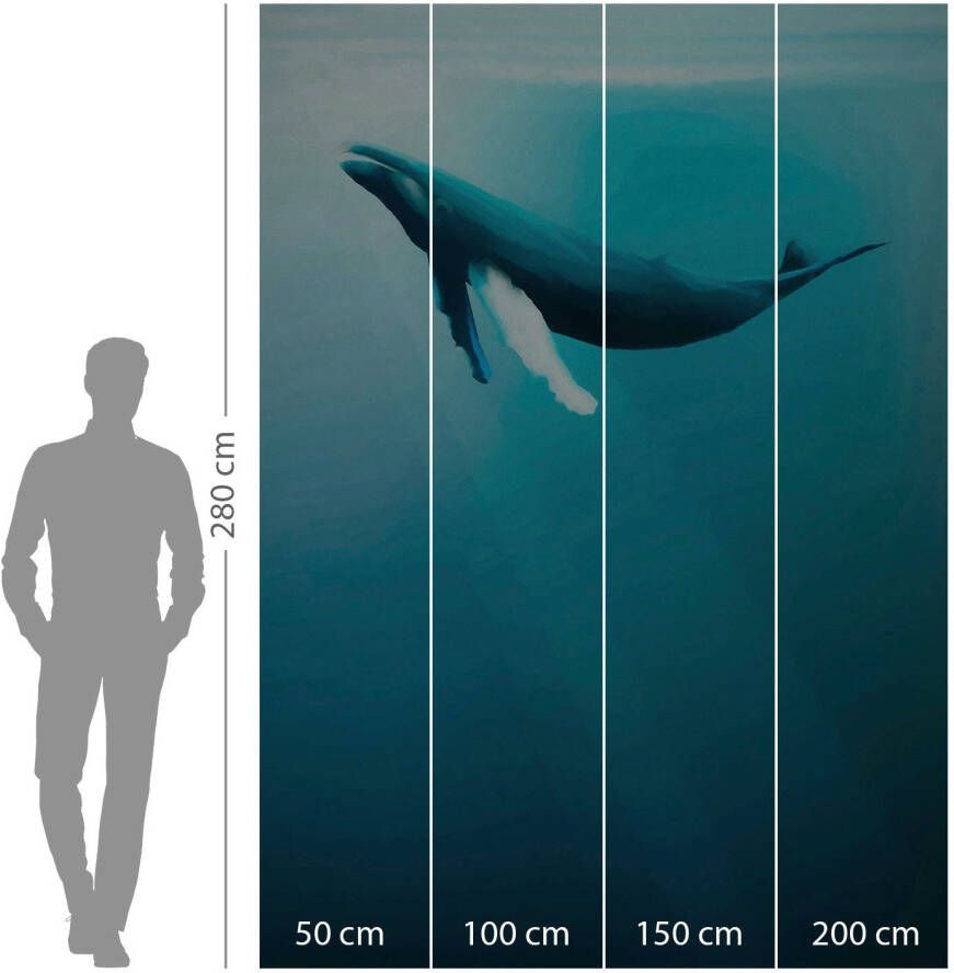 Komar Vliesbehang Artsy Humpback Whale 200x280 cm (breedte x hoogte)