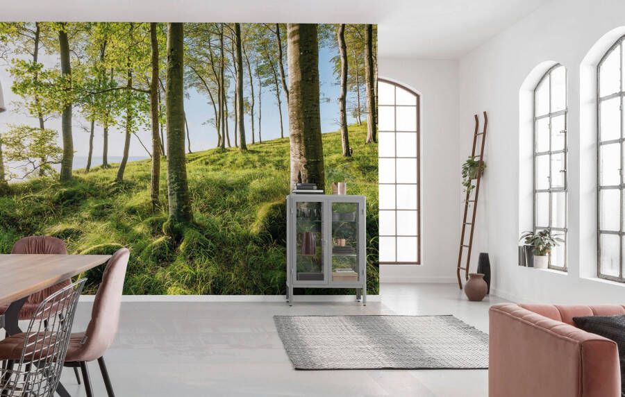Komar Vliesbehang Betoverend mooi beukenspektakel (9 stuks)