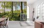 Komar Zauberhaftes Buchenspektakel Vlies Fotobehang 450x280cm 9-banen - Thumbnail 2