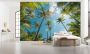 Komar Vliesbehang Digitale print vlies Coconut Heaven Afmeting 450 x 280 cm (9 stuks) - Thumbnail 2