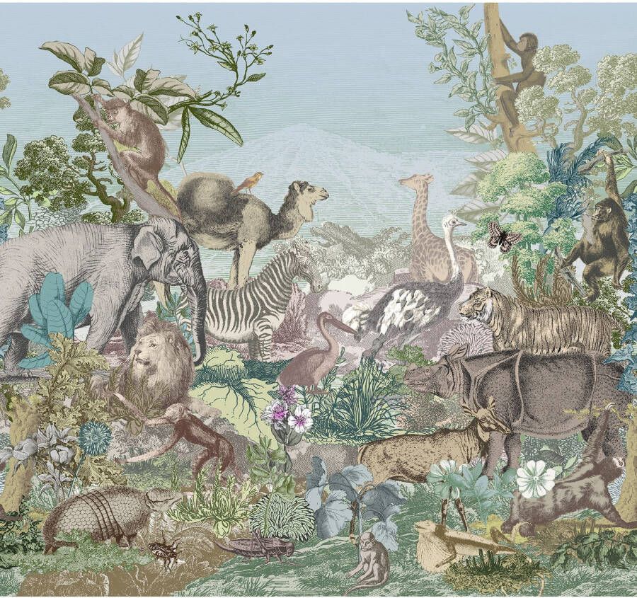 Komar Fotobehang Creative Zoo 350 x 250 cm (breedte x hoogte) behang vlies woonkamer slaapkamer (1 stuk)