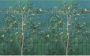 Komar Fotobehang Digitale print vlies Birdsong Breeze Afmeting 400 x 250 cm (1 stuk) - Thumbnail 2