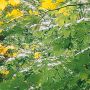 Komar Fotobehang Digitale print vlies Hall of Mosses Afmeting 400 x 250 cm (1 stuk) - Thumbnail 5