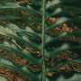 Komar Fotobehang Digitale print vlies Hall of Mosses Afmeting 400 x 250 cm (1 stuk) - Thumbnail 6