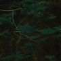 Komar Fotobehang Digitale print vlies Hall of Mosses Afmeting 400 x 250 cm (1 stuk) - Thumbnail 7