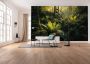 Komar Vliesbehang Fjordland Woods 450x280 cm (breedte x hoogte) woonkamer slaapkamer (9 stuks) - Thumbnail 2