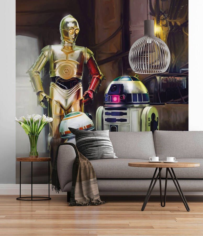 Komar Fotobehang Fototapete Fotobehang STAR WARS Three Droids x 254 cm (1 stuk)