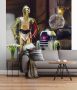 Komar Fotobehang Fototapete Fotobehang STAR WARS Three Droids x 254 cm (1 stuk) - Thumbnail 2