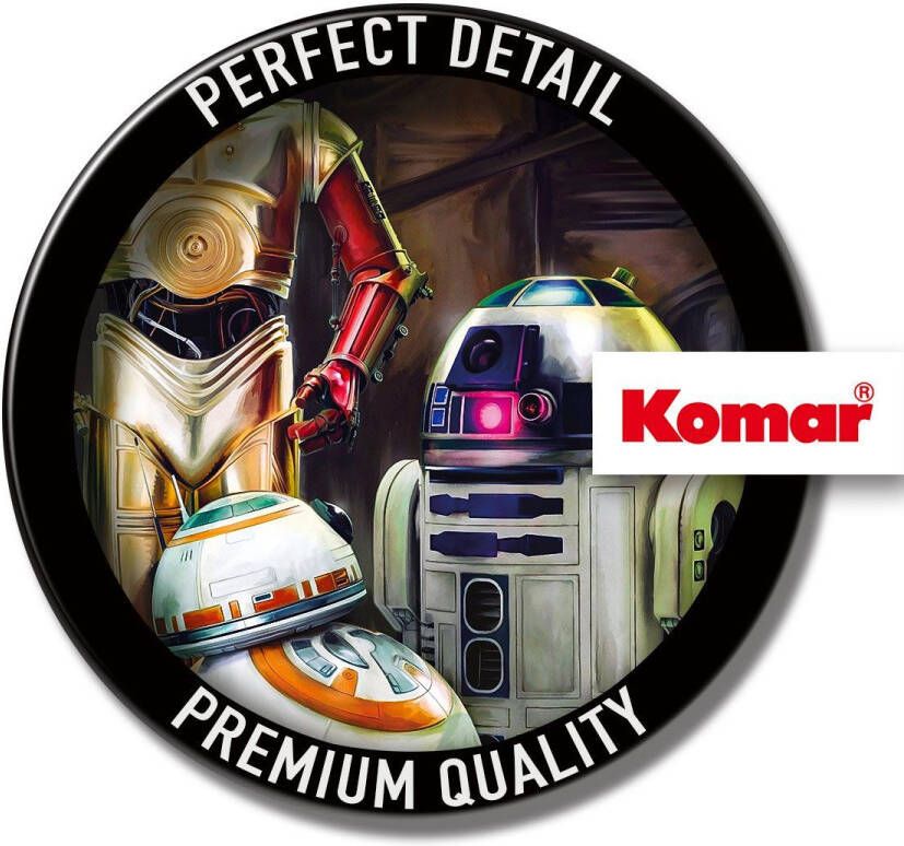 Komar Fotobehang Fototapete Fotobehang STAR WARS Three Droids x 254 cm (1 stuk)